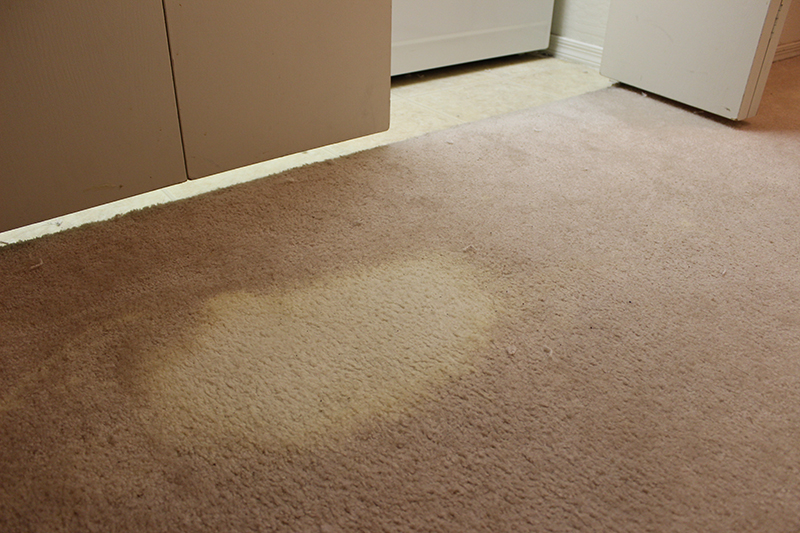 Creative Carpet Repair Maricopa Image